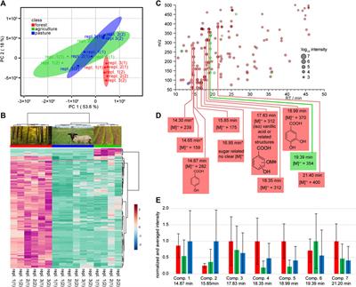 Soil Solution Analysis With Untargeted GC–MS—A Case Study With Different Lysimeter Types